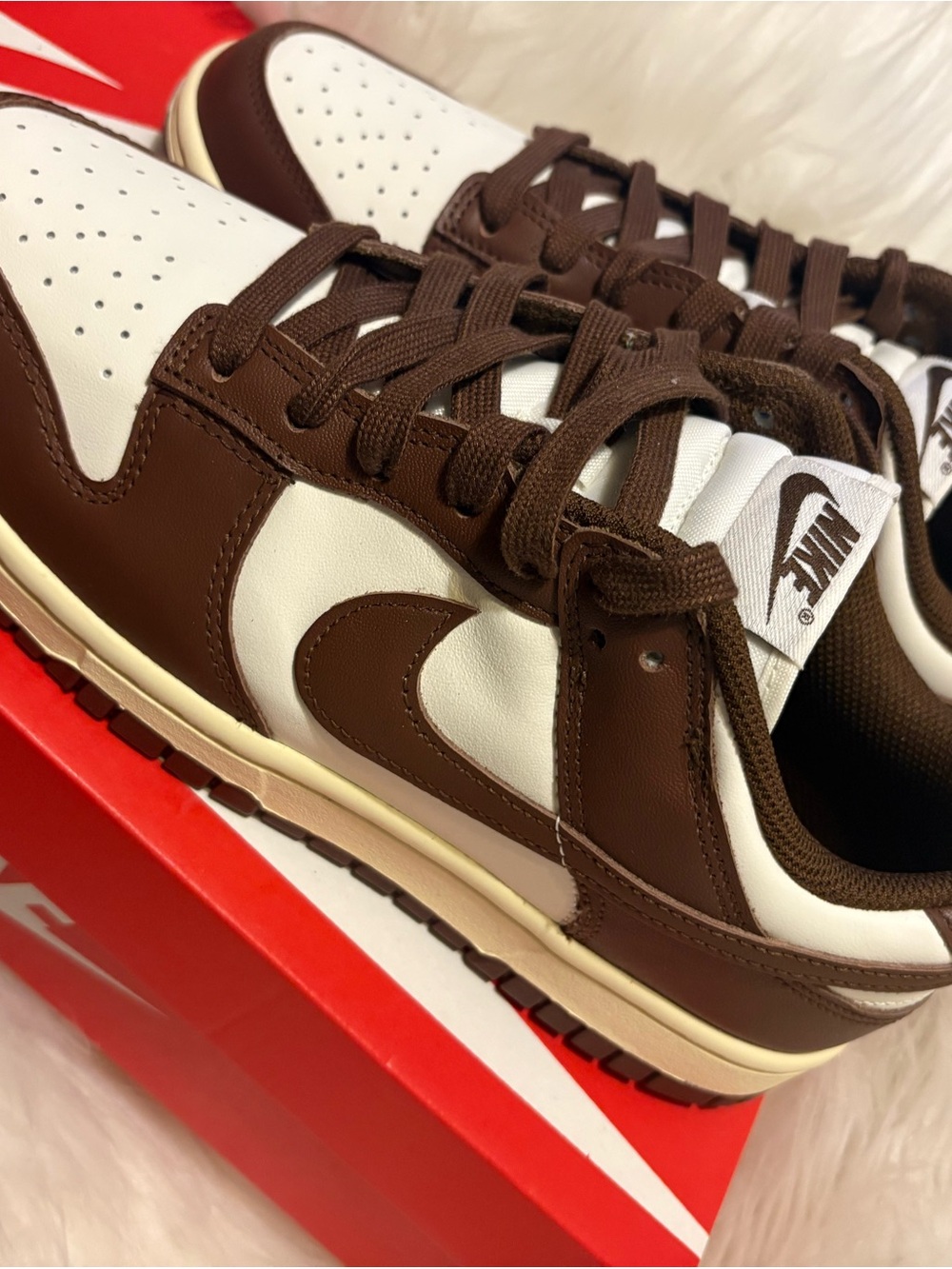 Nike Dunk Low Brown and White Sneakers